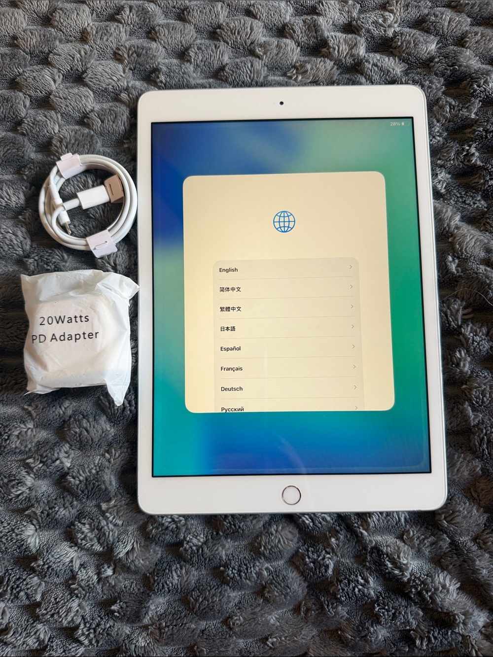 Apple iPad in White with Silver Charger and Cable